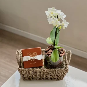 Presente Com Orquídea e Torta Crocante de Nutella Petite Fleur