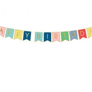 Banner Hbday Multicores